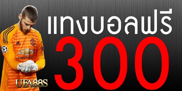 เว็บแทงบอล300